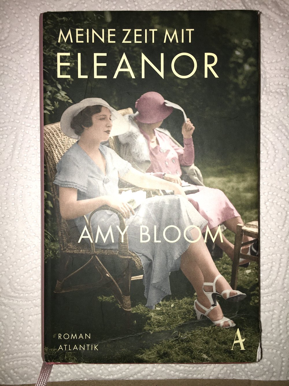 Meine Zeit mit Eleanor v. Amy Bloom