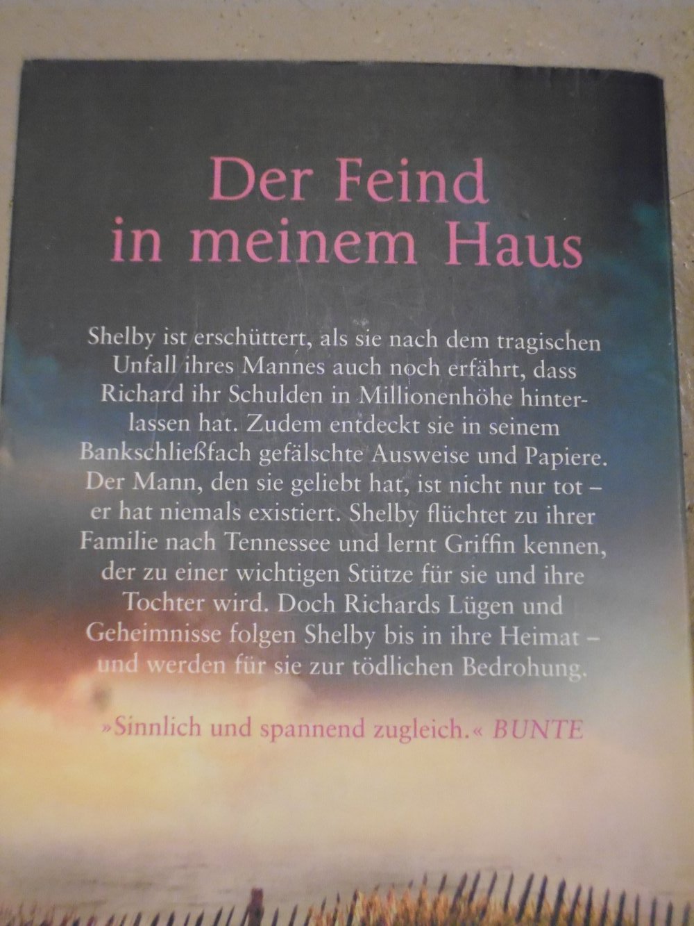 Nora Roberts Romane | Liebes-Thriller