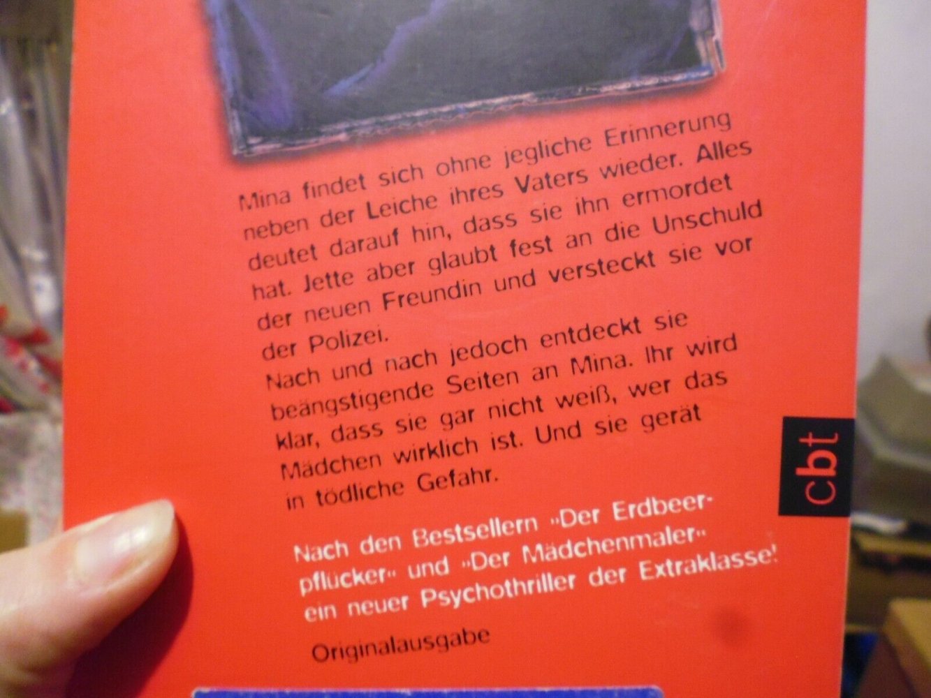 Der Mädchenmaler + Der Scherbensammler | Monika Feth | Thriller