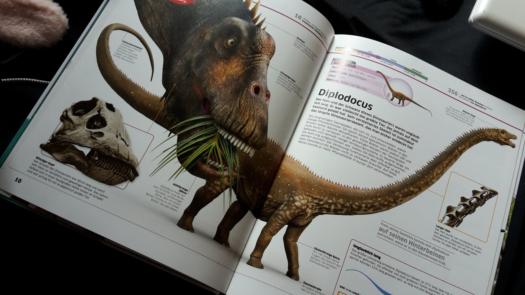 Wissen : Dinosaurier Buch mit App