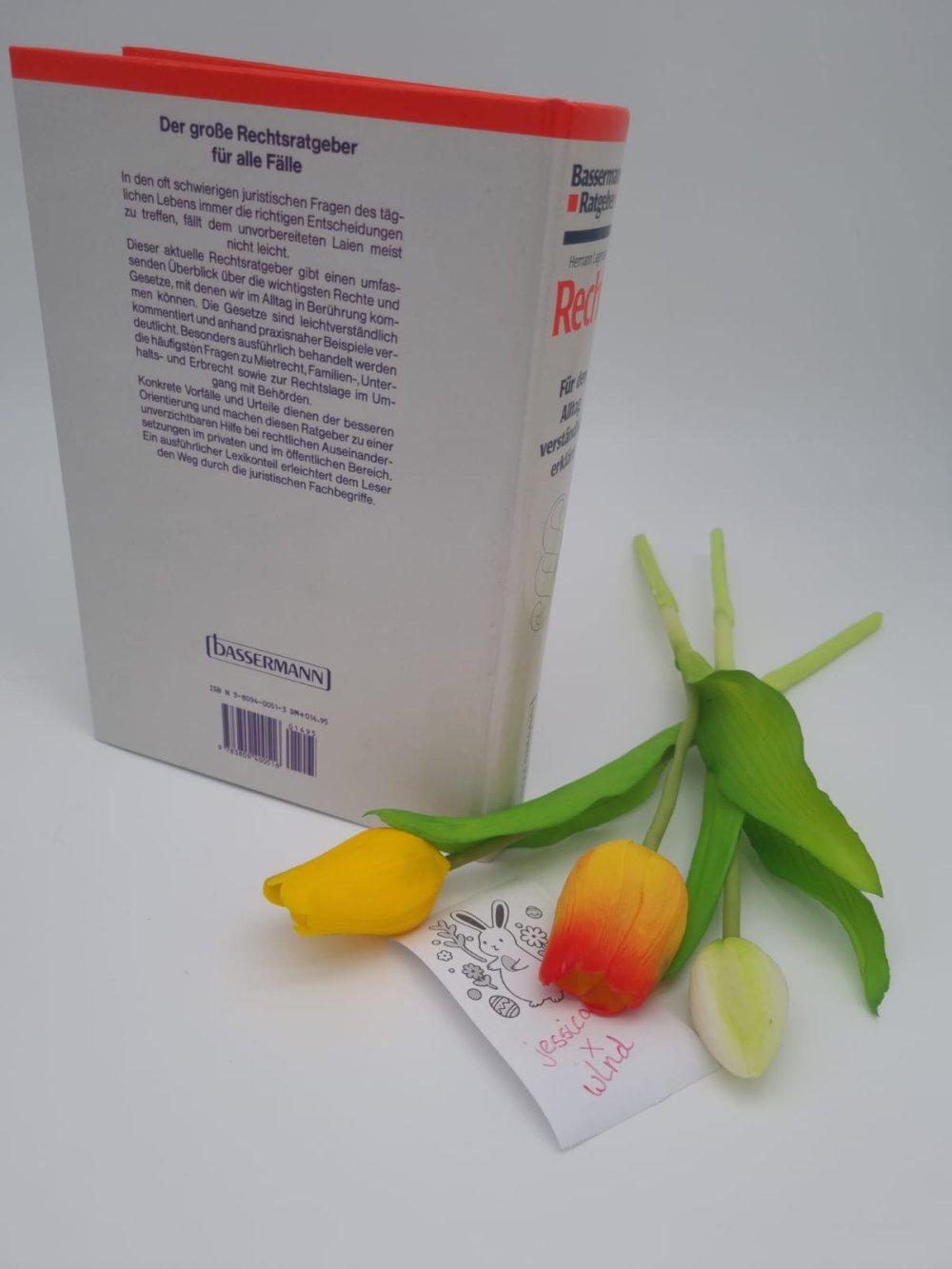 Recht für den Alltag verständlich erklärt gebundenes Buch