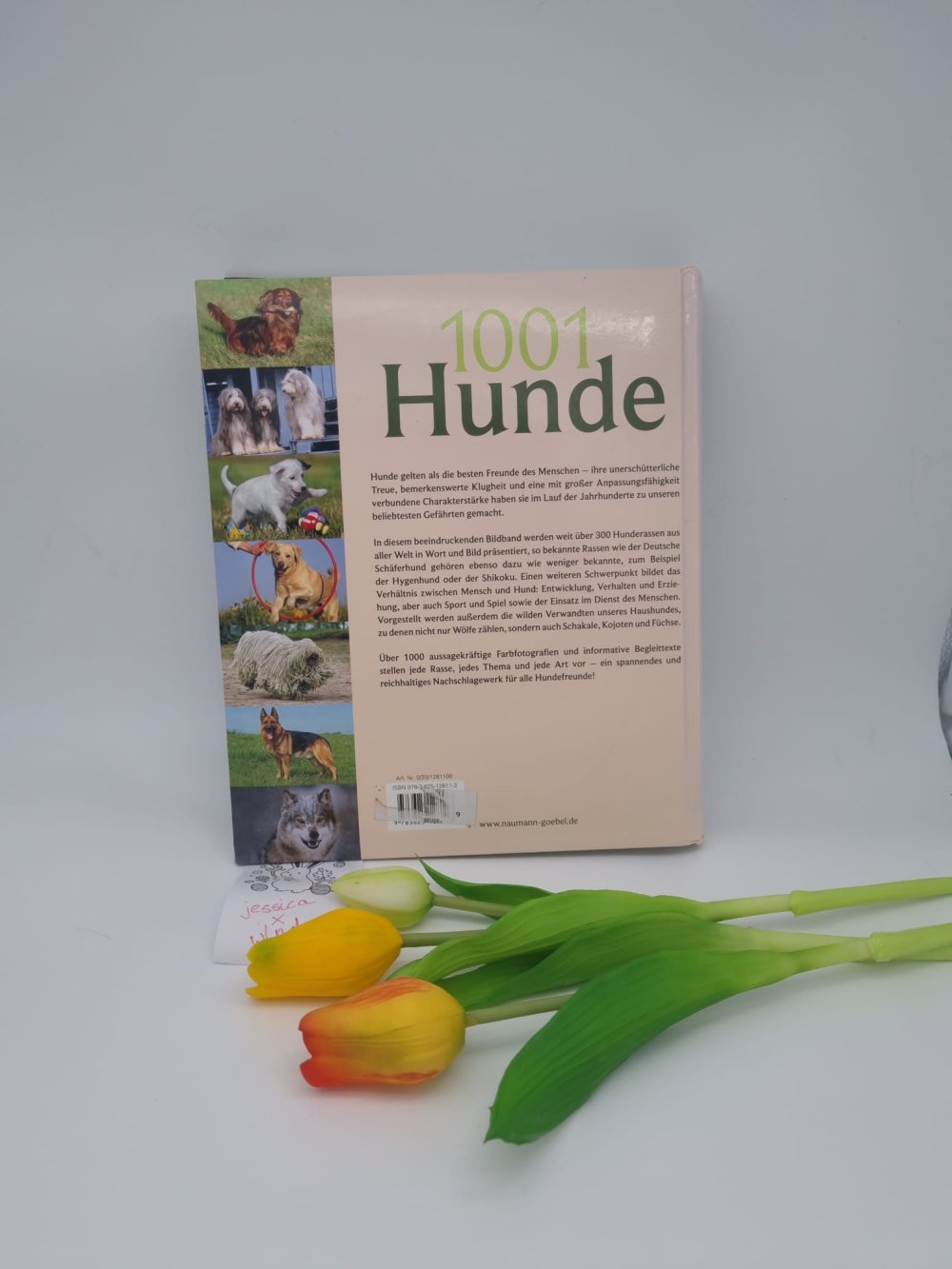 1001 Hunde gebundenes Buch