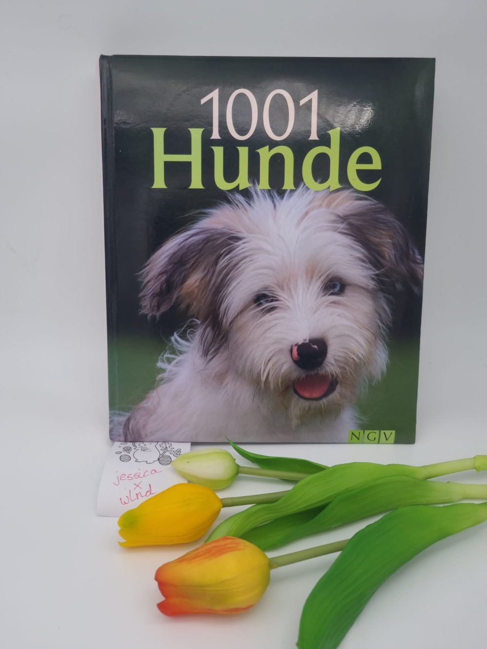 1001 Hunde gebundenes Buch