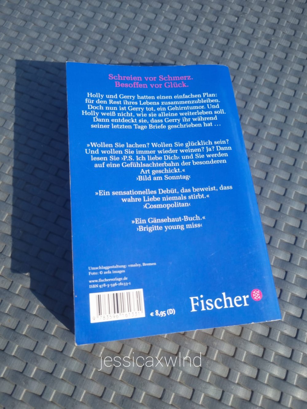 P.S Ich liebe Dich Buch Roman