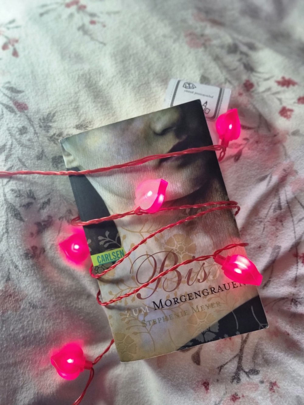 Band 1 Biss zum Morgengrauen Bella und Edward