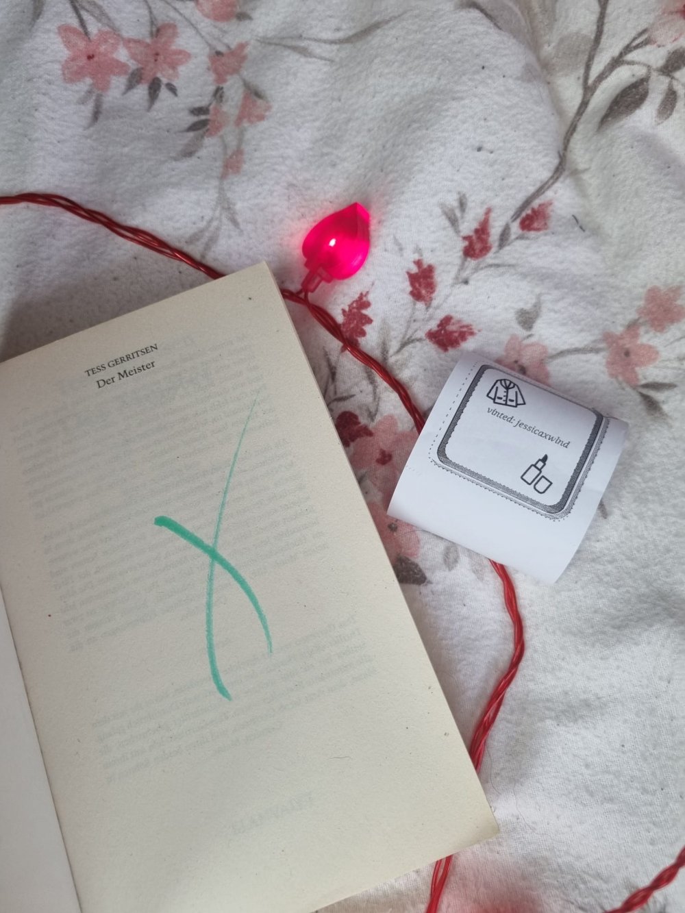 Tess Gerritsen - Der Meister