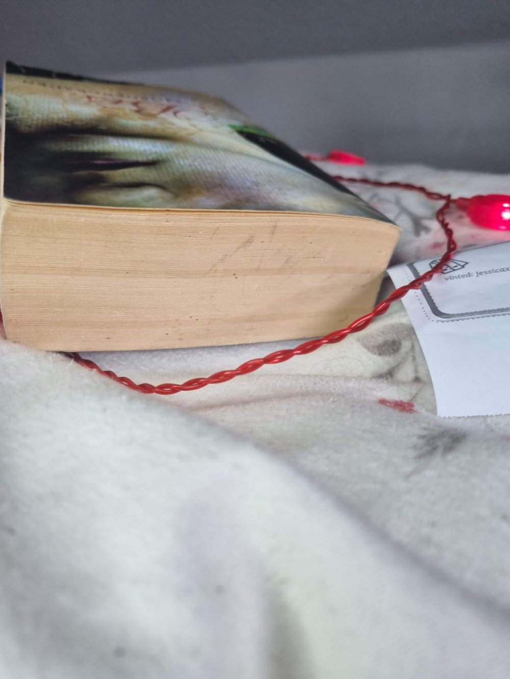 Band 1 Biss zum Morgengrauen Bella und Edward