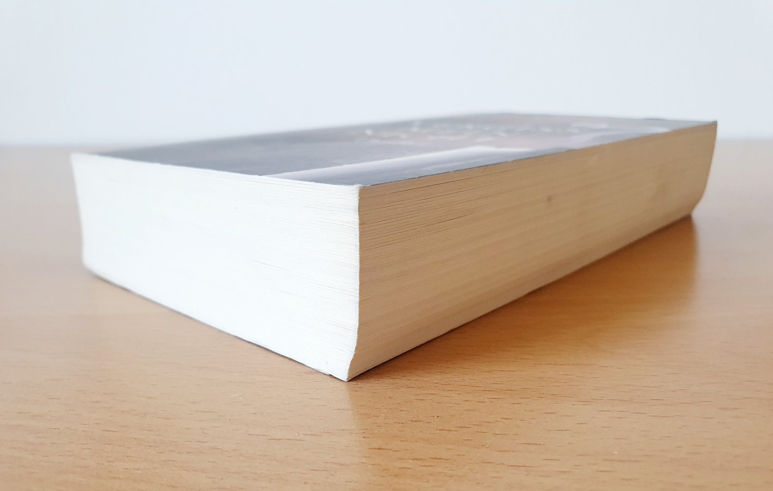 Thriller Taschenbuch Roman Karin Slaughter Vergiss mein nicht