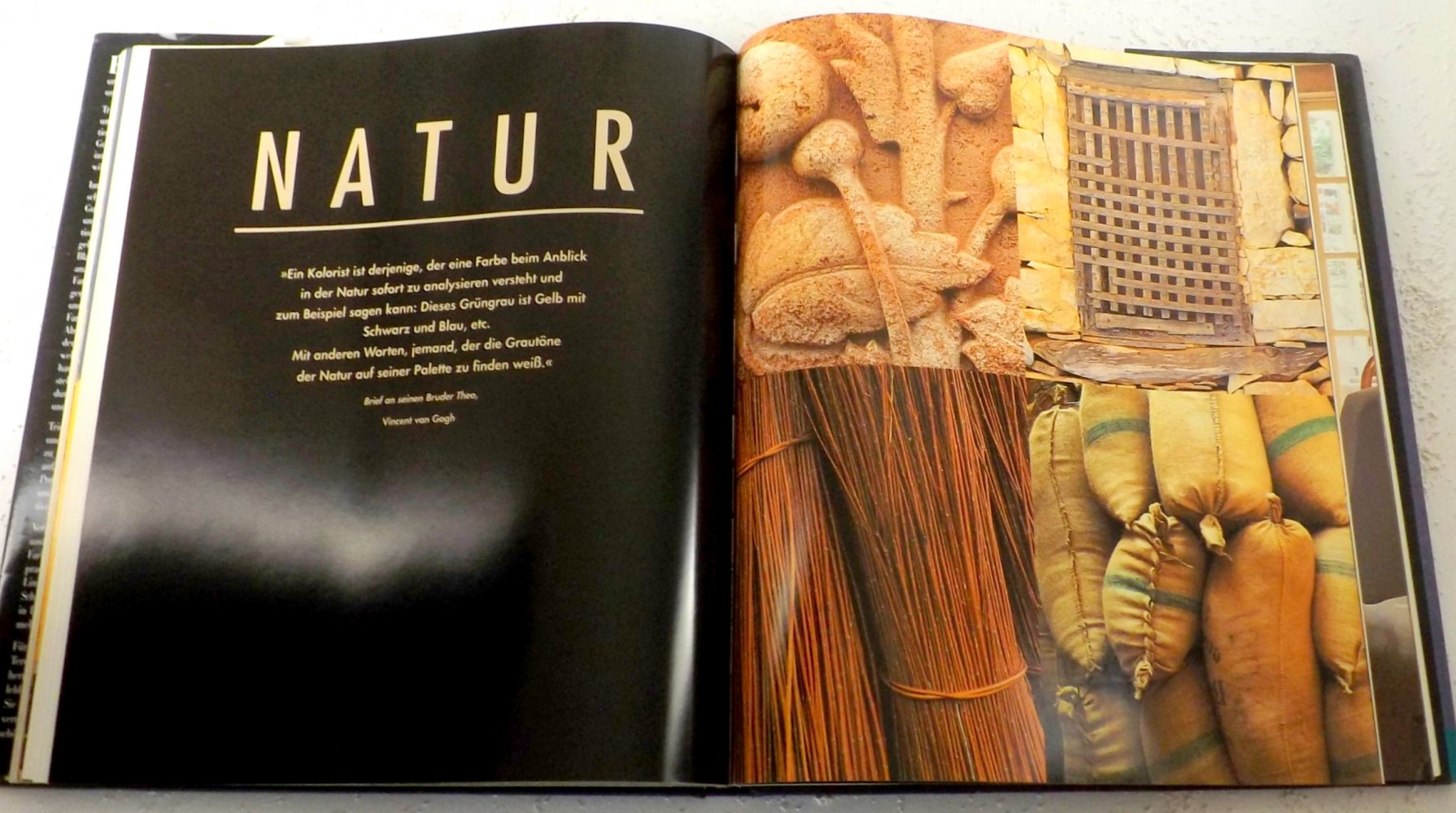 Farbberatung Wohnen. Tricia Guild