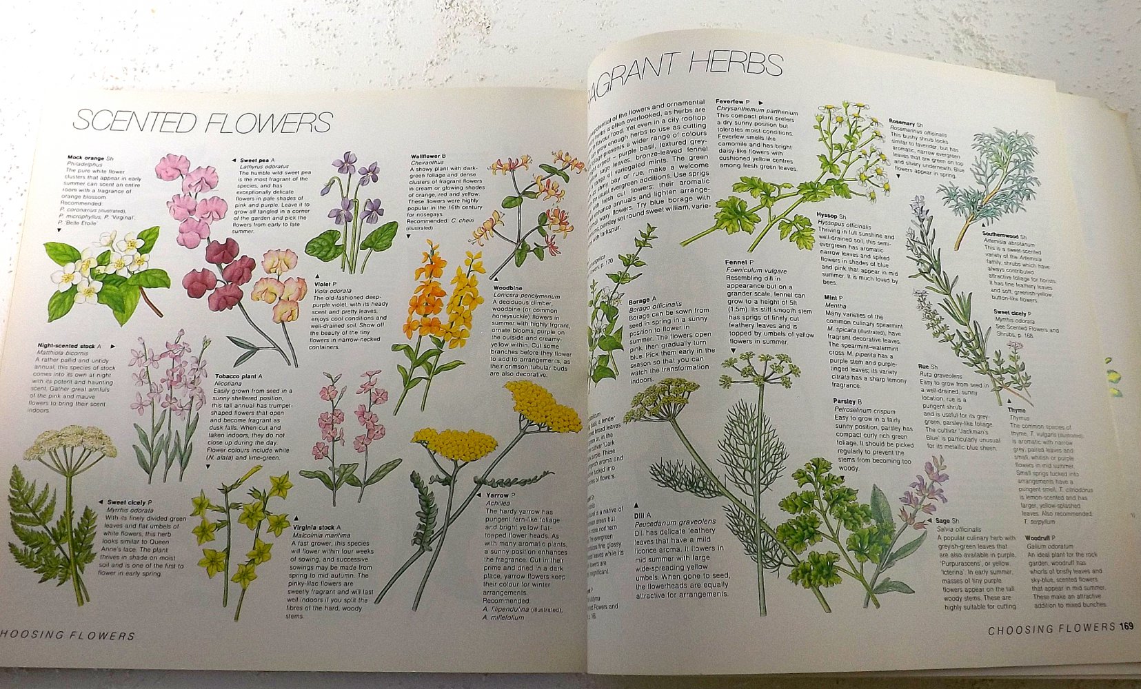 Tricia Guild - Natural Flower Arranging