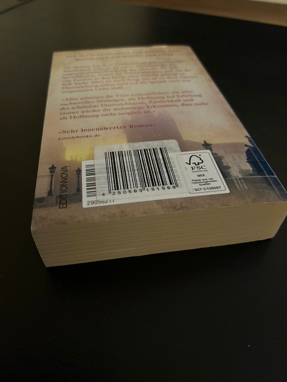 Roman von Constanze Wilken - Die vergessene Sonate