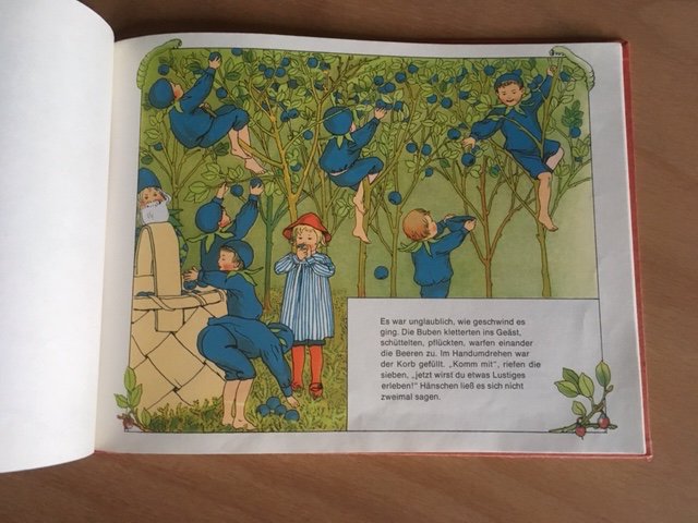 Hänschen im Blaubeerenwald