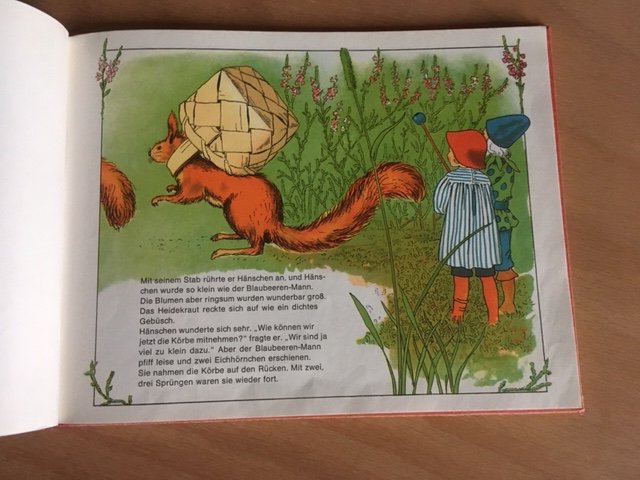 Hänschen im Blaubeerenwald