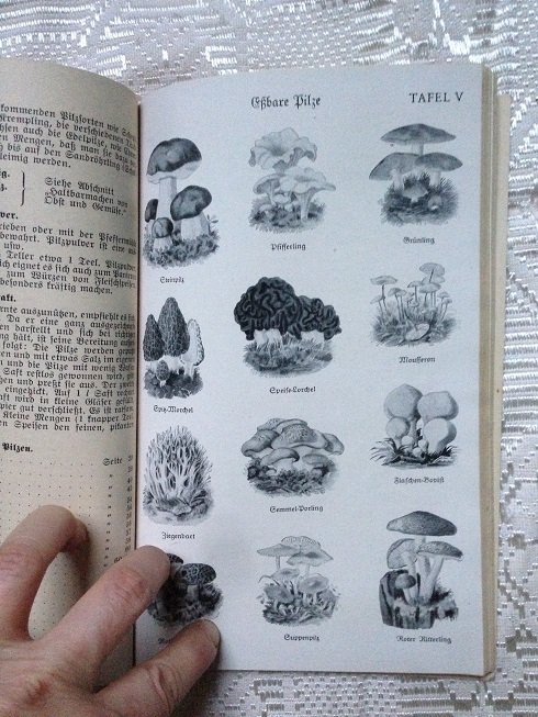 Dr. Oetker Schul-Kochbuch Ausgabe D Dr. August Oetker Bielefeld   