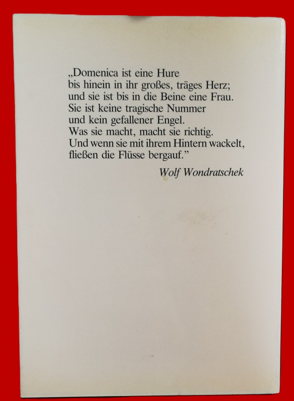 Biografie-Buch Domenica & die Herbertstraße Bildband 1981 True Vintage