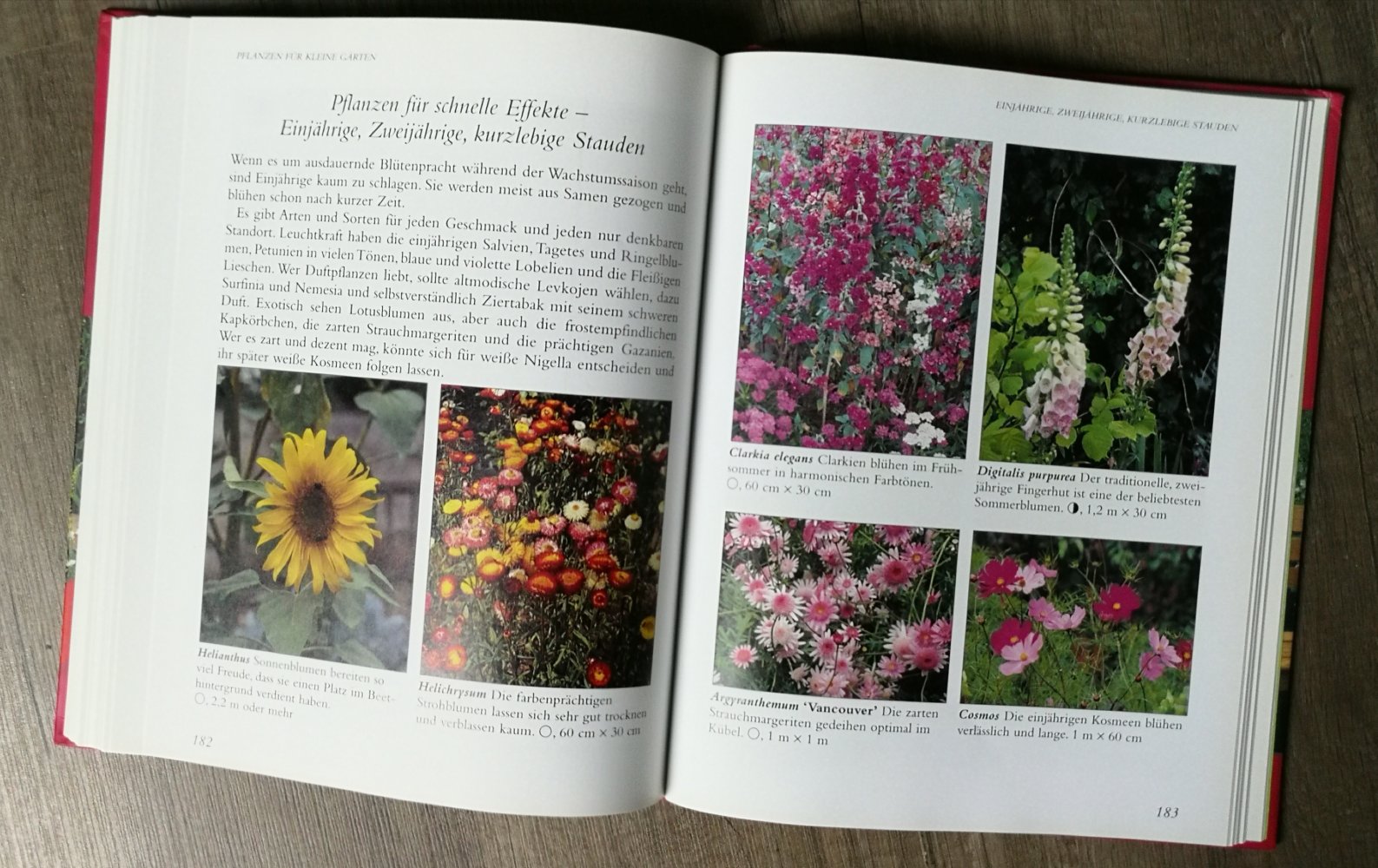 Kleine Gärten perfekt gestalten Gartenratgeber Lance Hattatt Hardcover 