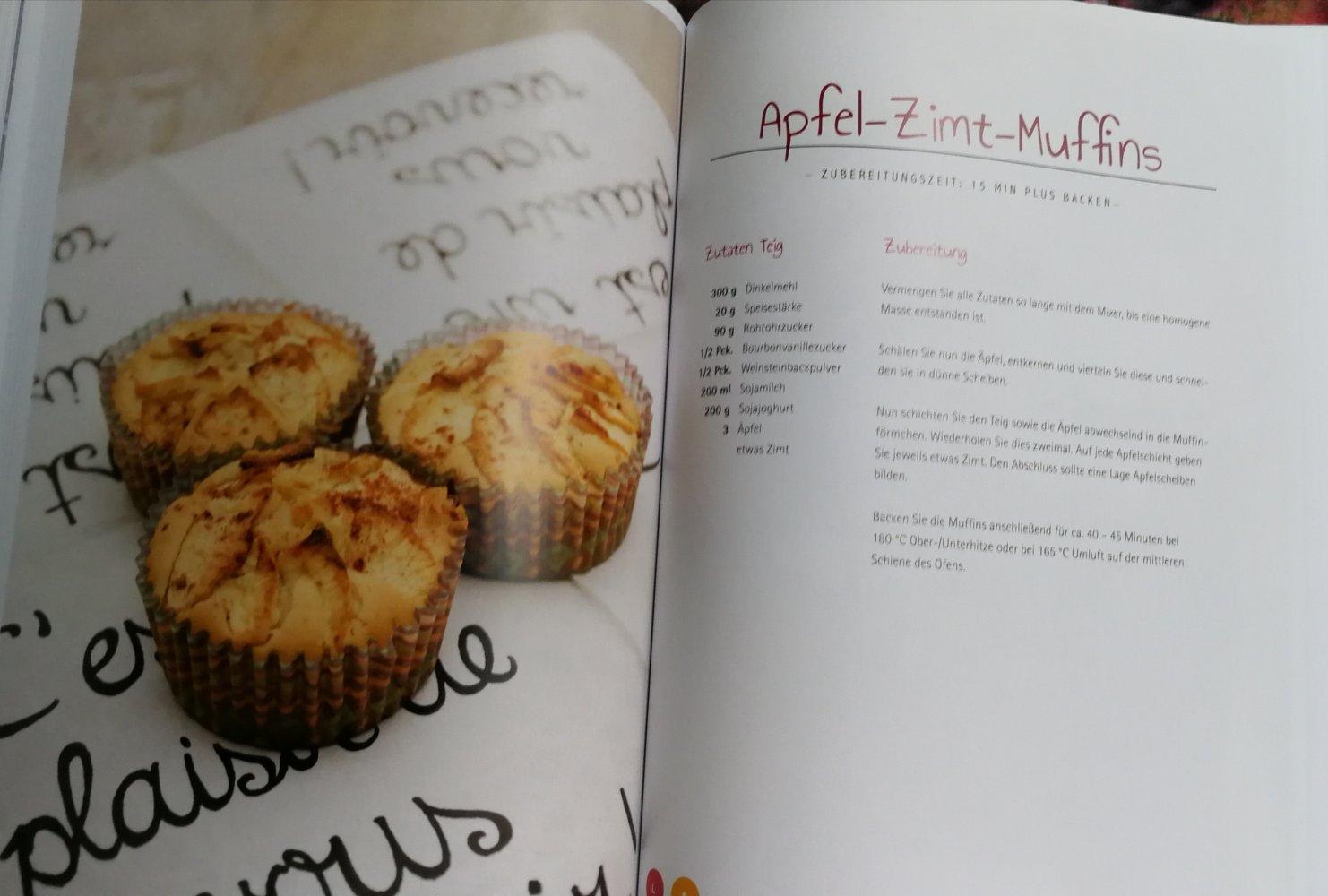 Kochbuch Vegan mit Familie – geht doch! Anke Lüßenhop Hardcover Klassiker 