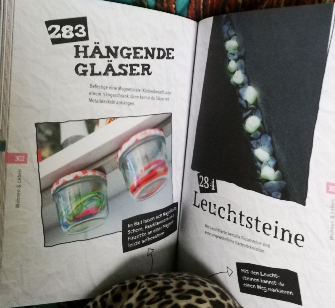 Buch Ratgeber Trick 17 - 444 raffinierte Alltagstipps Praxis Lifehacks