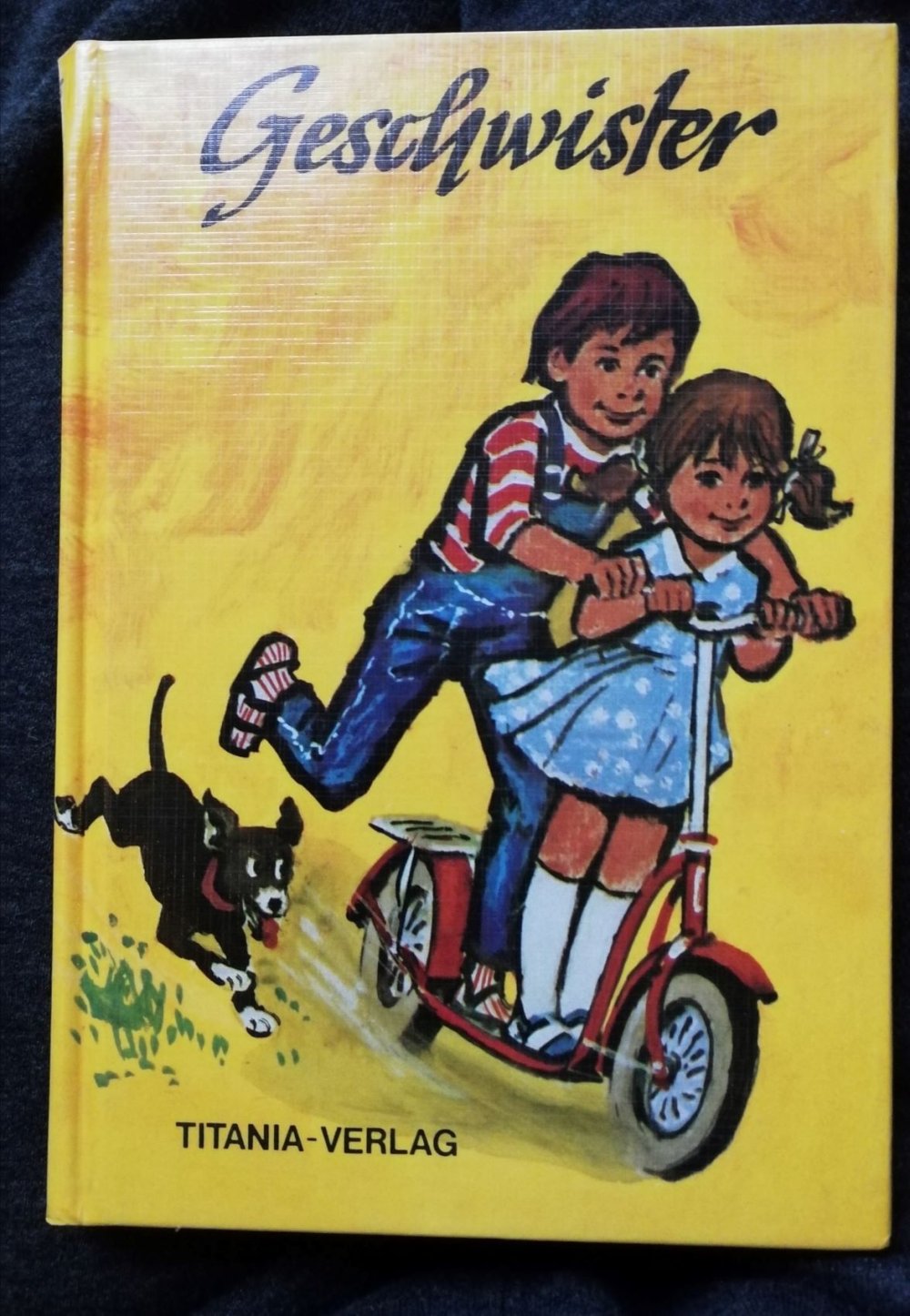 Buch Kinderbuch 80er Vintage Original Klassiker Geschwister 1981 Helge Darnstädt