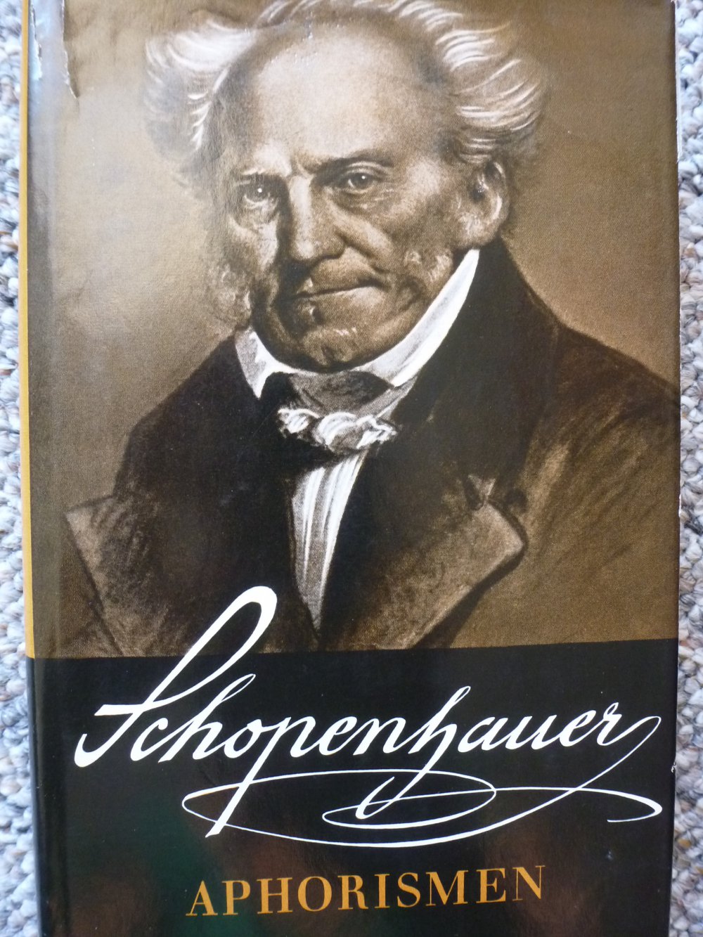 Schopenhauer Aphorismen