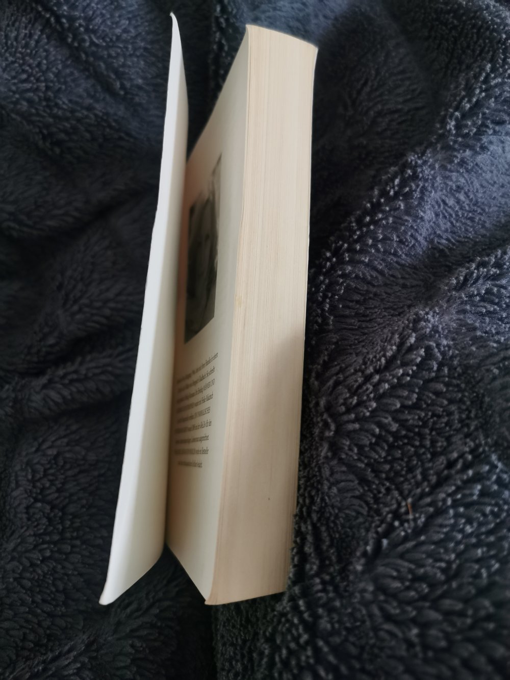 Buch Kerstin Gier Die Mütter Mafia 