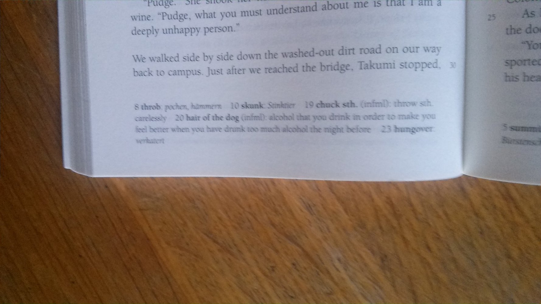 Looking for Alaska, Englisch, Jugendliche, Teenies, Fremdsprache, Schule, Cornelsen