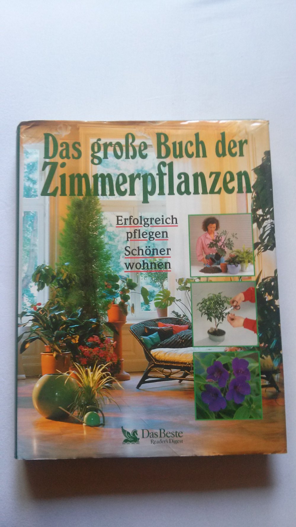 Das große Buch der Zimmerpflanzen, wohnen, pflegen