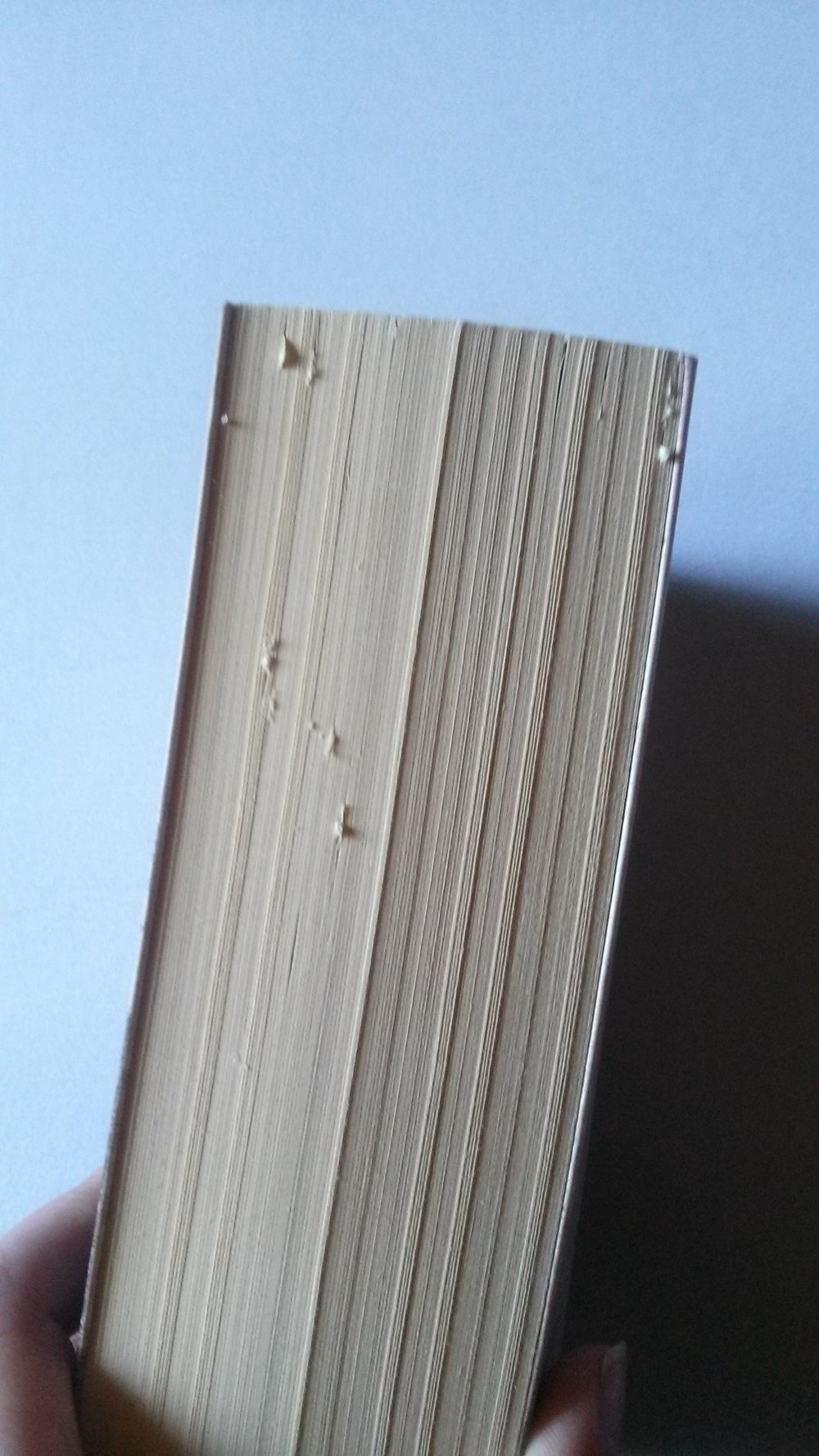 Das Mädchen, das den Himmel berührte, Roman, Erzählung