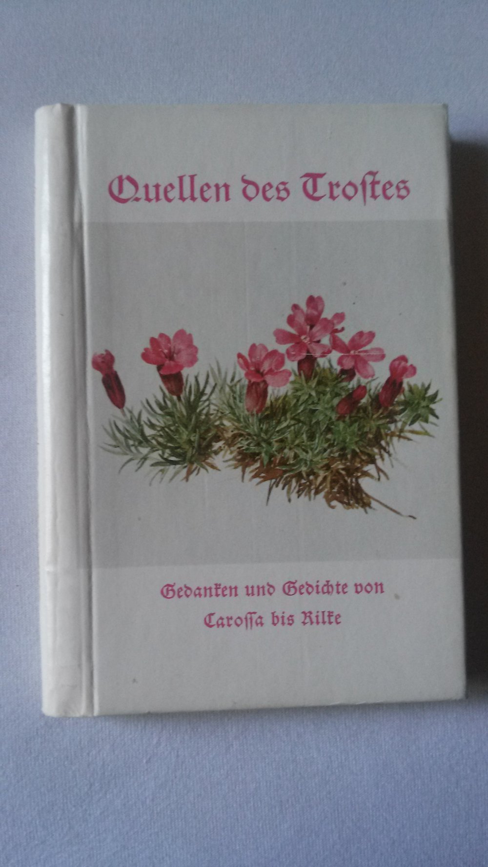 Quellen des Trostes, Buch, Gedanken, Gedichte