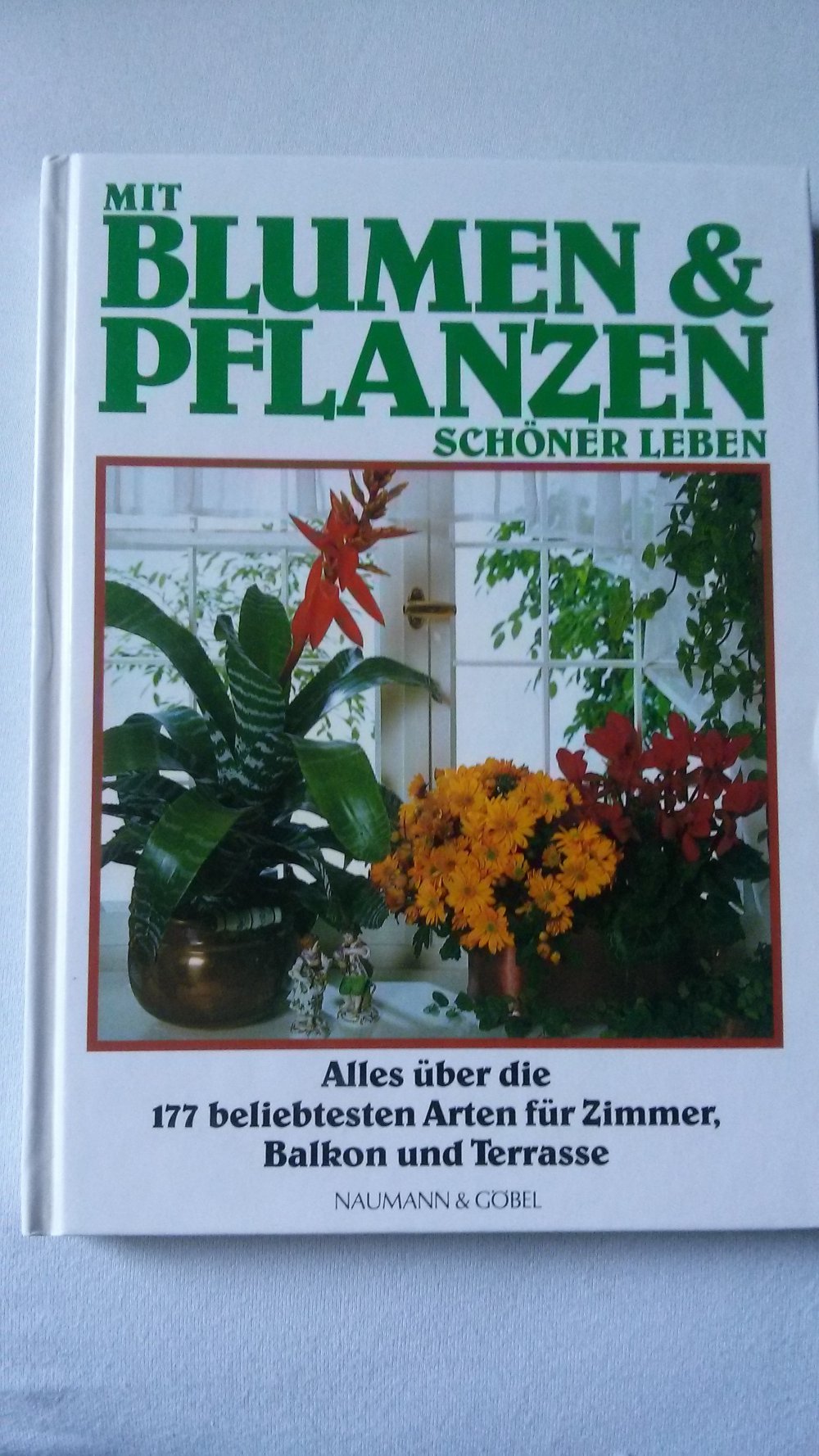Mit Blumen und Pflanzen schöner leben, Balkon, Terrasse