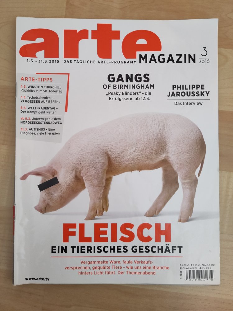 Arte Magazin, März 2015
