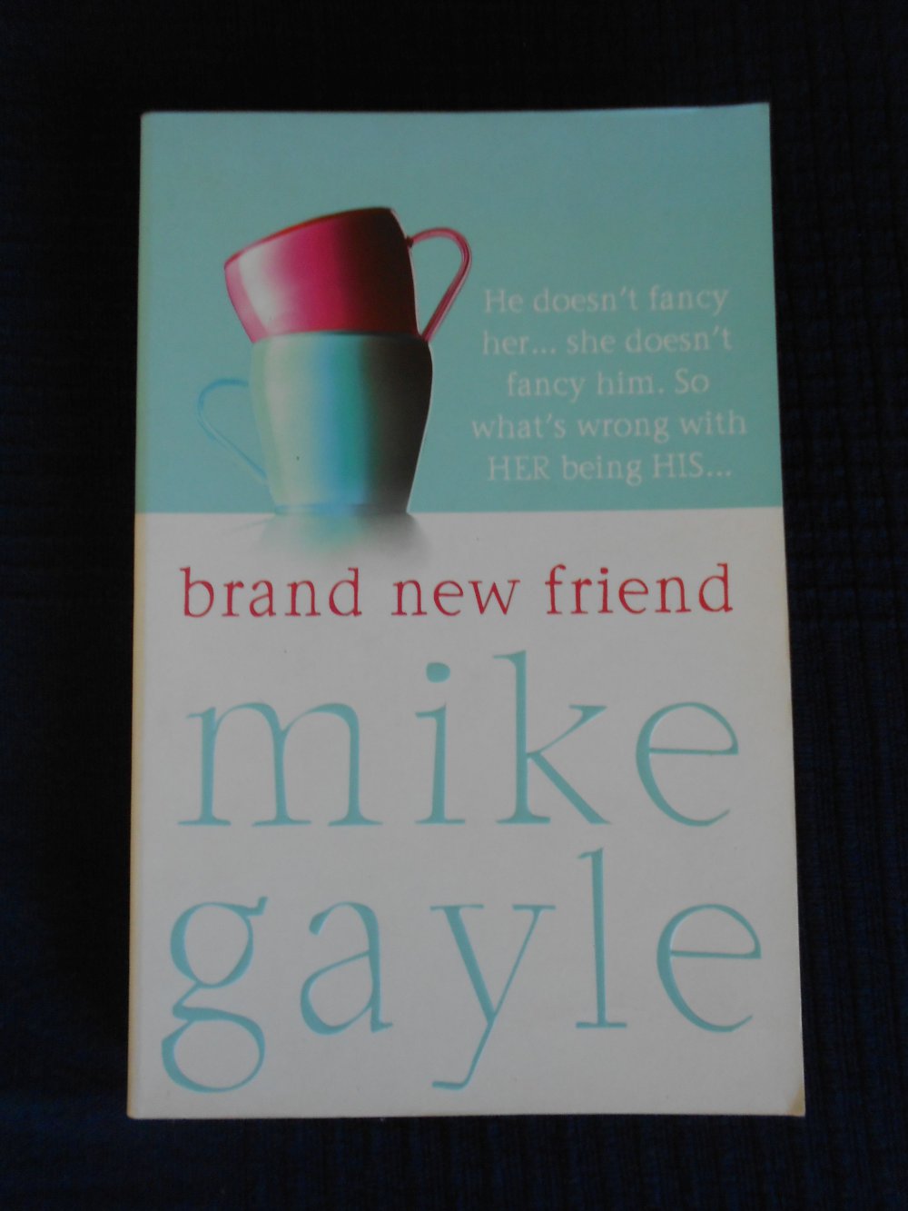 Taschenbuch Brand new friend - Mike Gayle Englische Literatur