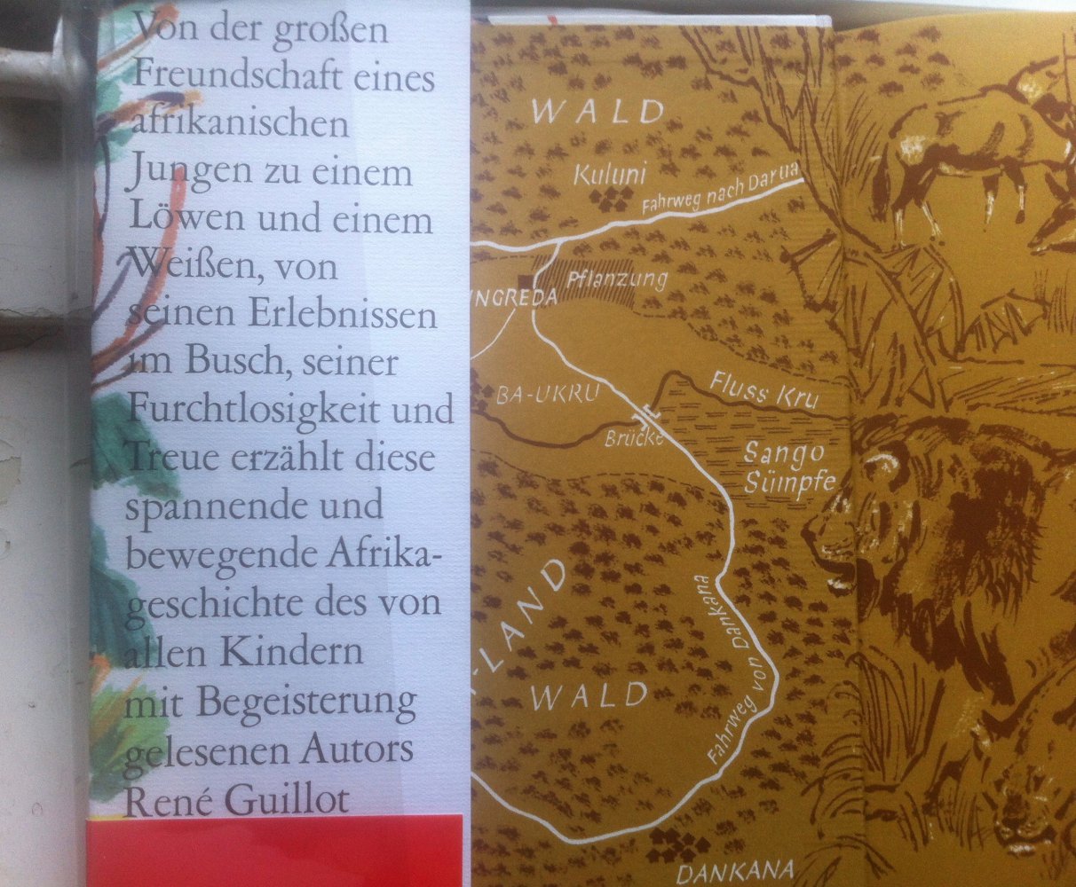 Fonabio und der Löwe - Neuwertig Jugendbuch/ VorleseAbenteuergeschichte, Verschenkbuch