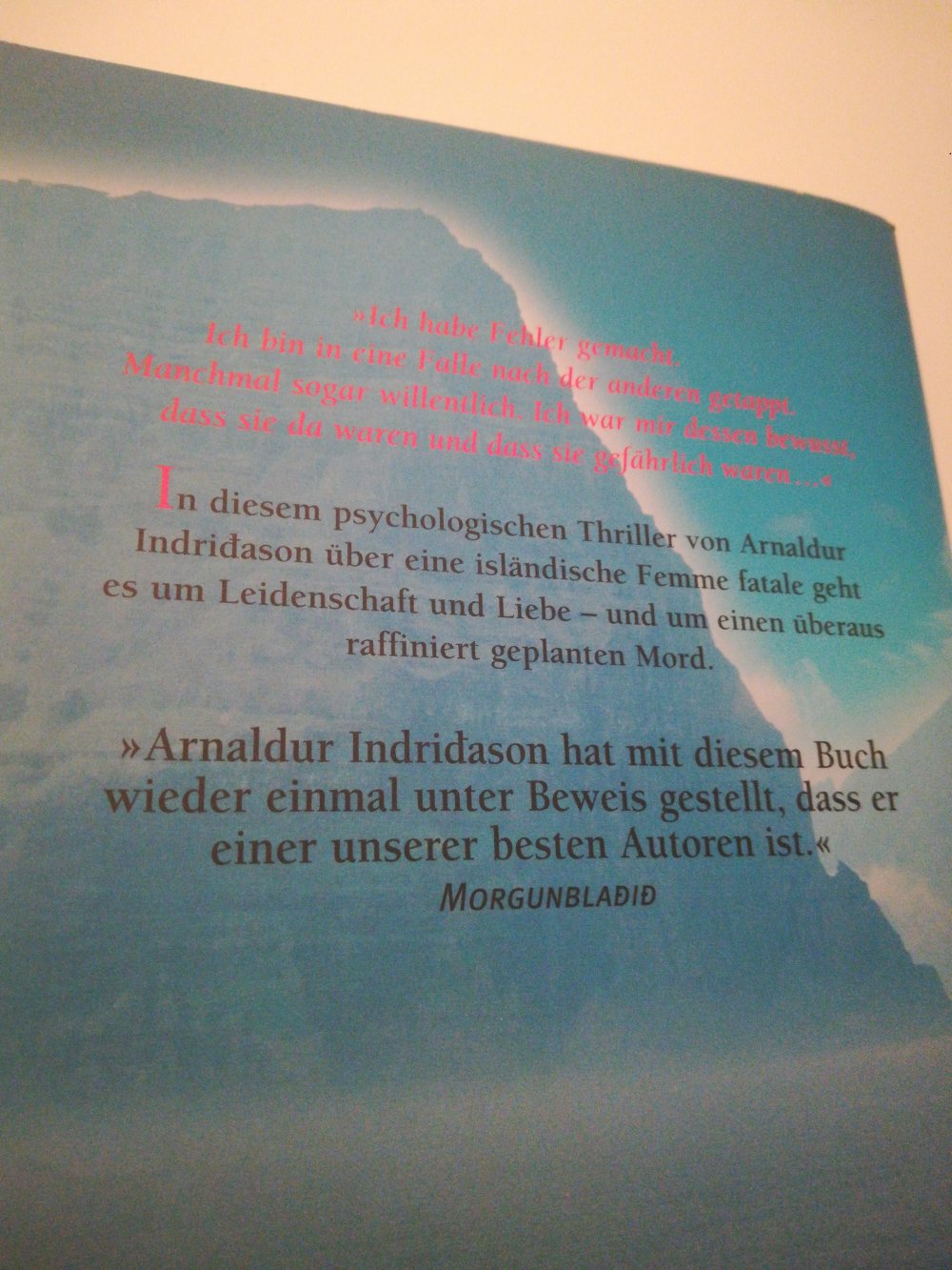 Tödliche Intrige / Arnaldur Indridason / 