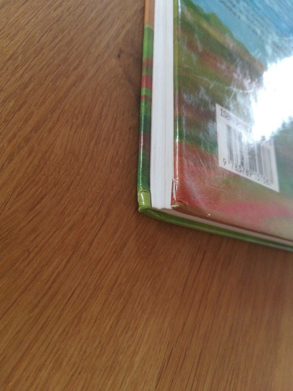 Die Kinder aus dem Möwenweg / Kirsten Boie