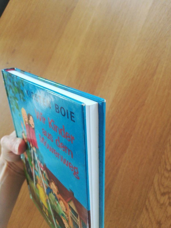 Die Kinder aus dem Möwenweg / Kirsten Boie