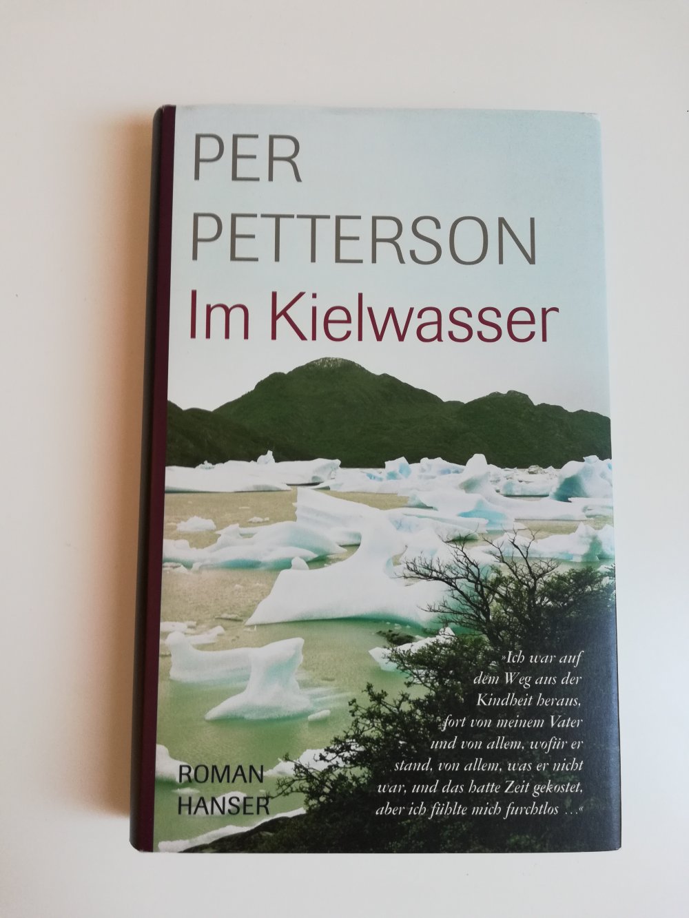 Im Kielwasser / Per Petterson 