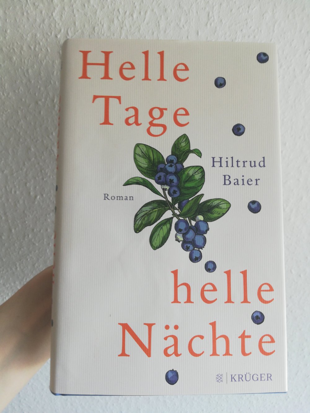 Helle Tage helle Nächte / Skandinavien Roman 