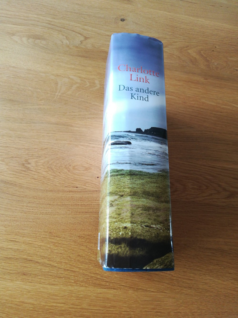 Das andere Kind Charlotte Link