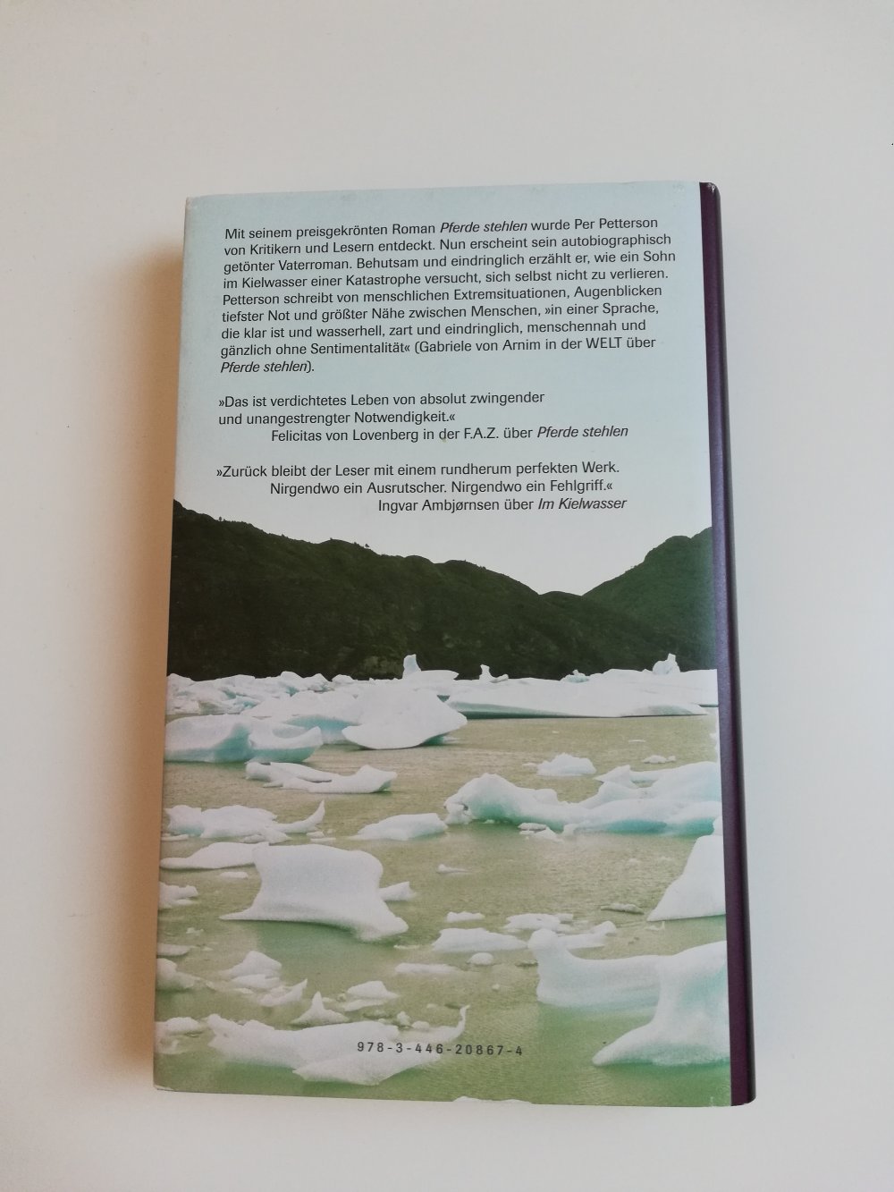 Im Kielwasser / Per Petterson 