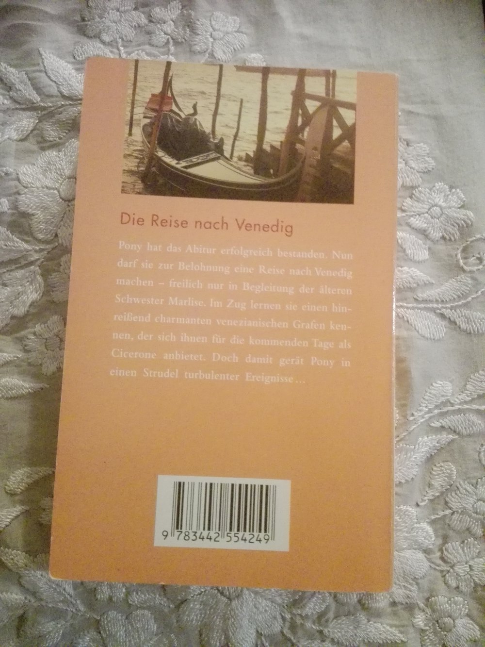 Die Reise nach Venedig, Roman