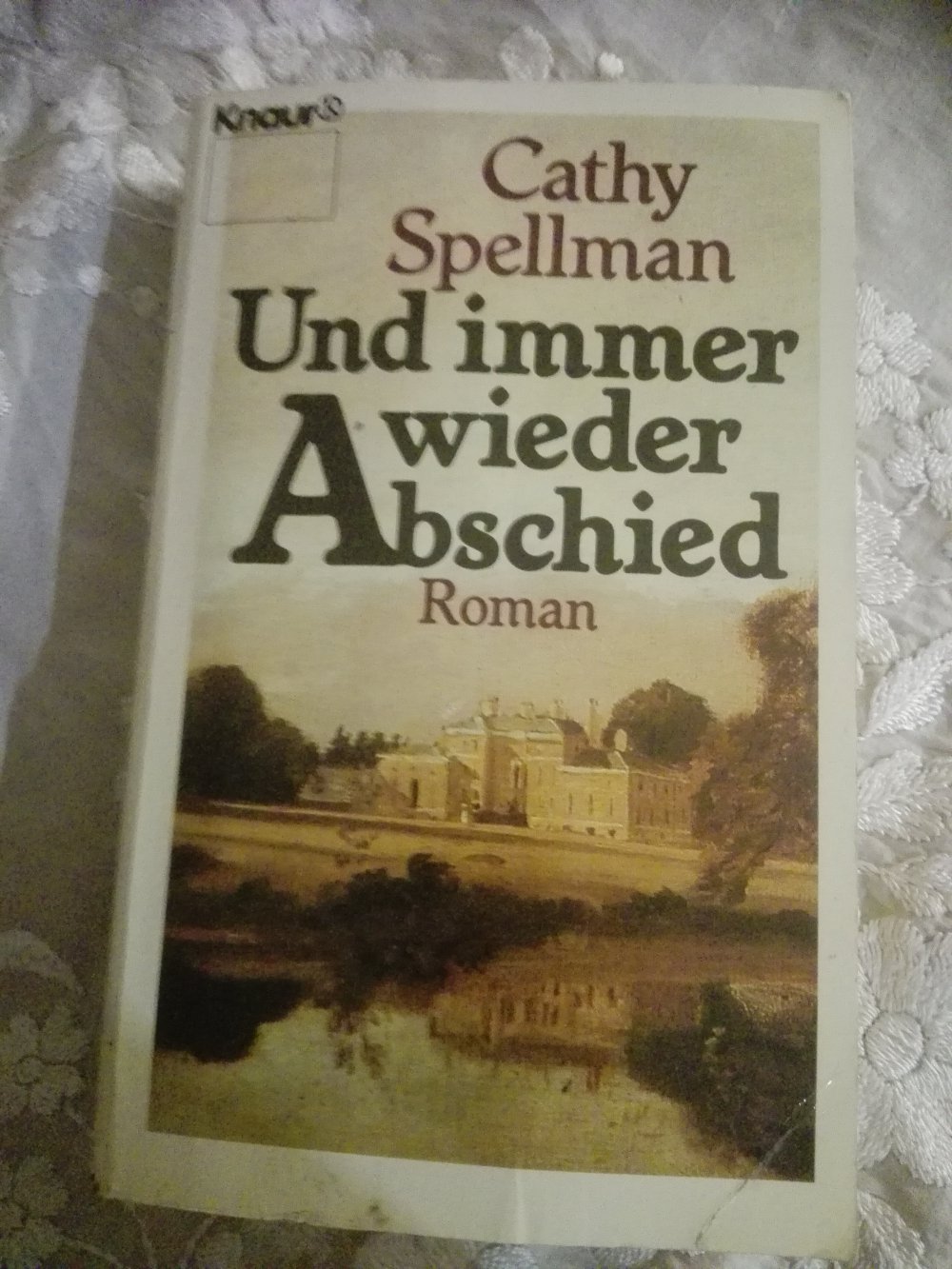 Und immer wieder Abschied, Roman