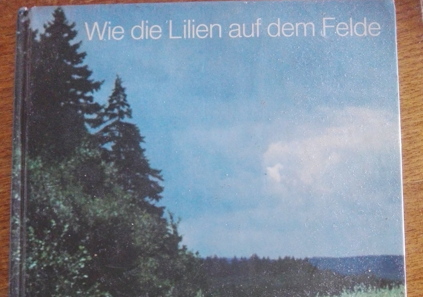 wie die Lilien auf dem Felde