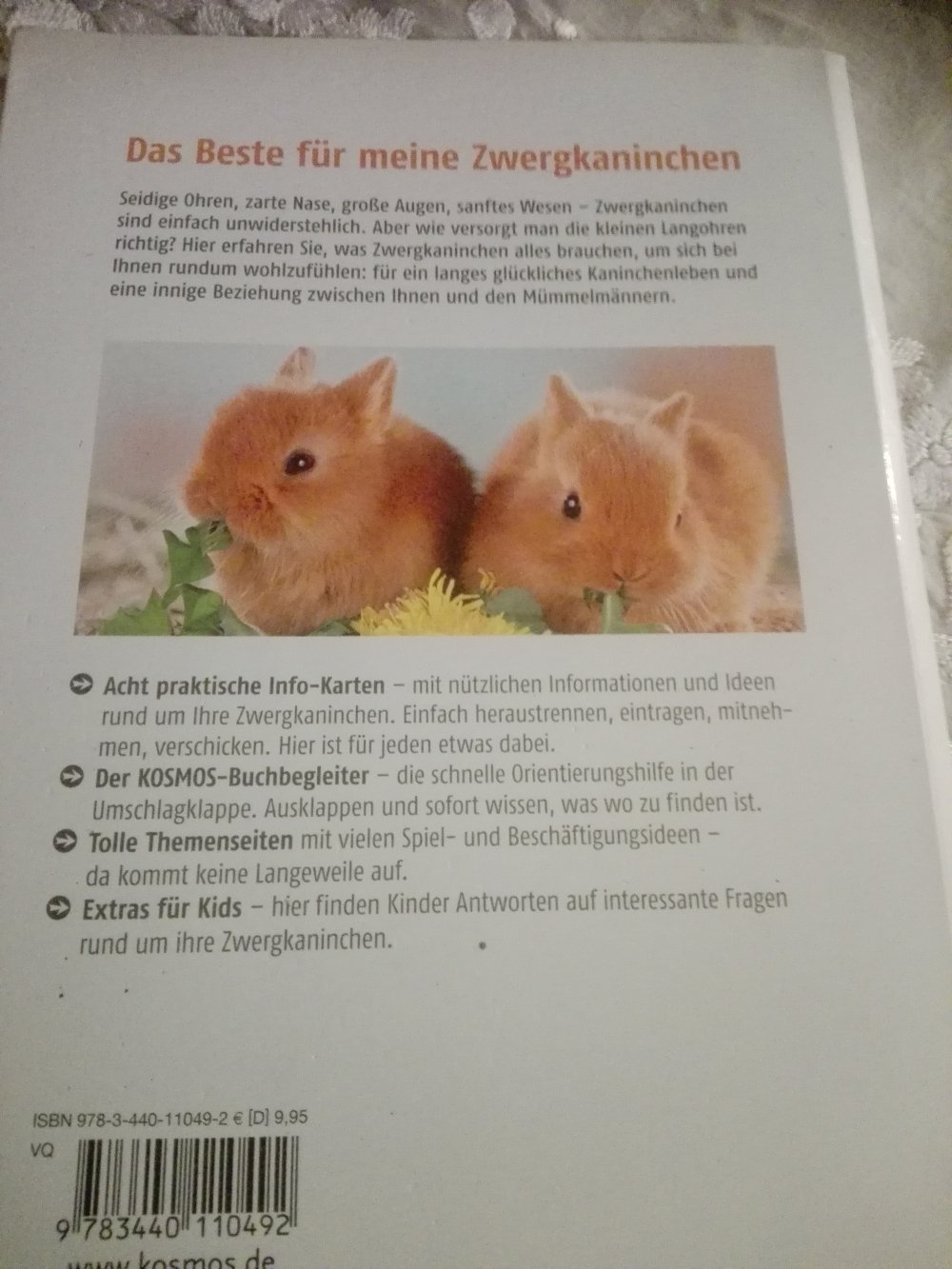 Meine Zwergkaninchen