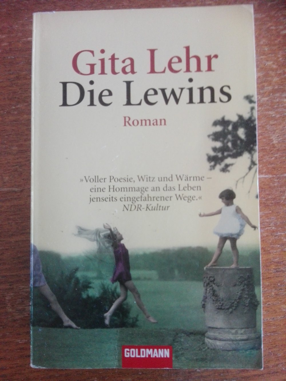 Die Lewins Roman
