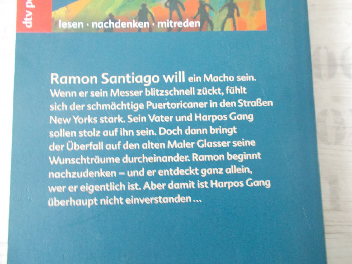 dtv pocket 78026 Ein Schatten wie ein Leopard von Myron Levoy