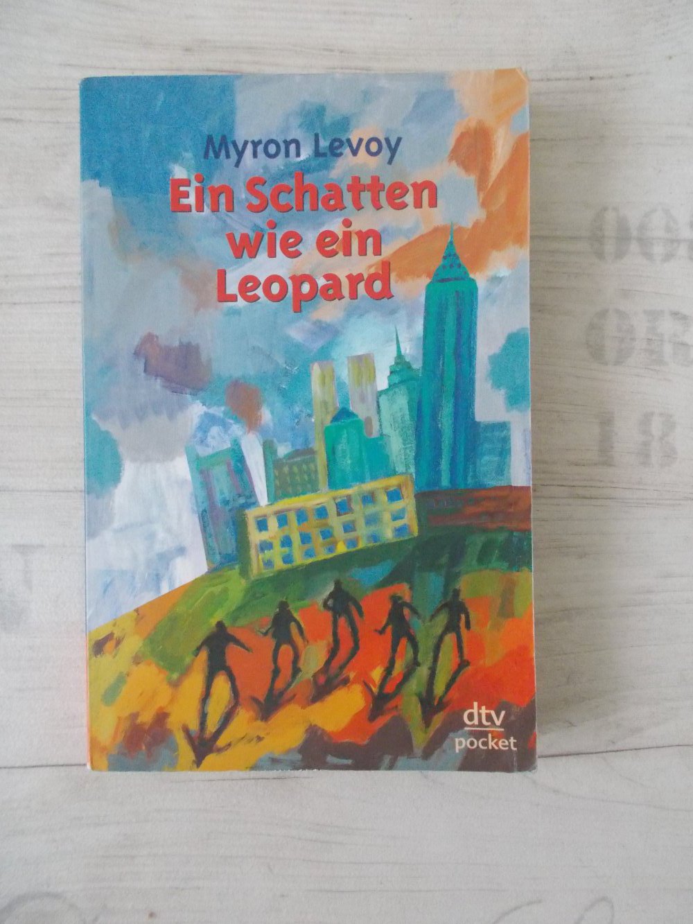 dtv pocket 78026 Ein Schatten wie ein Leopard von Myron Levoy