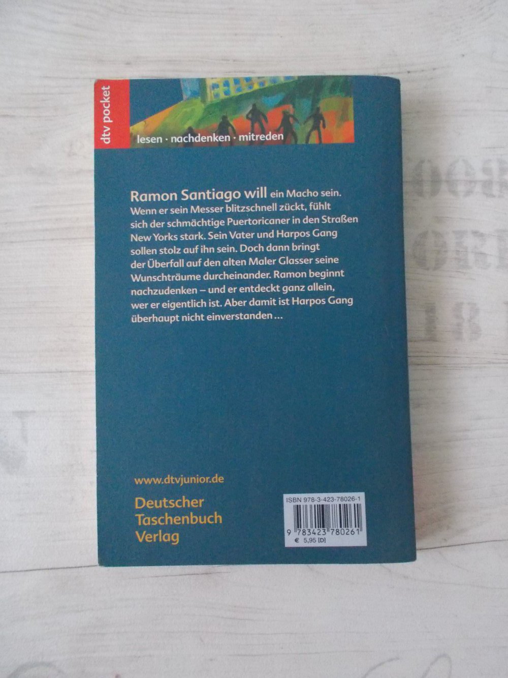 dtv pocket 78026 Ein Schatten wie ein Leopard von Myron Levoy