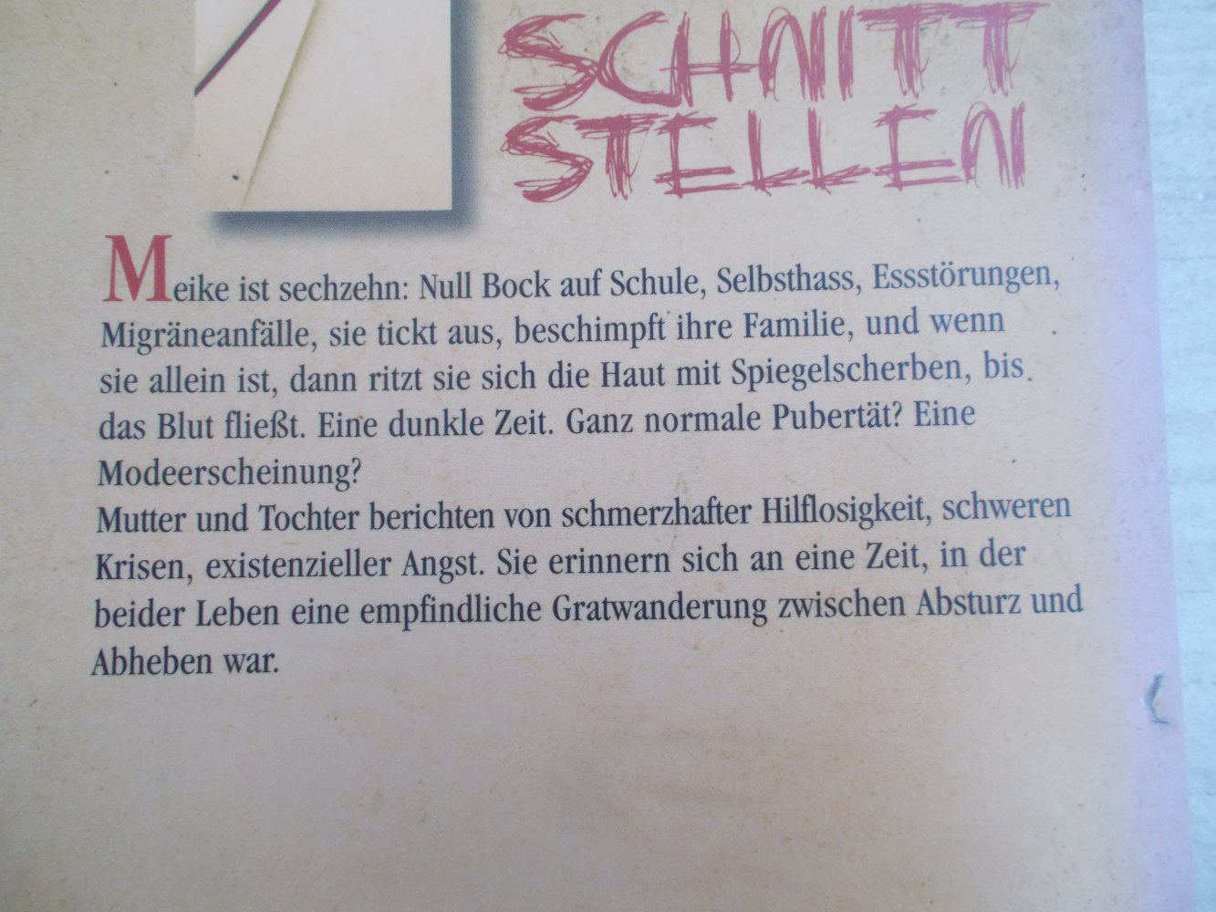 Buch Schnittstellen von Anja Abens und Meike Abens, Schnitt Stellen