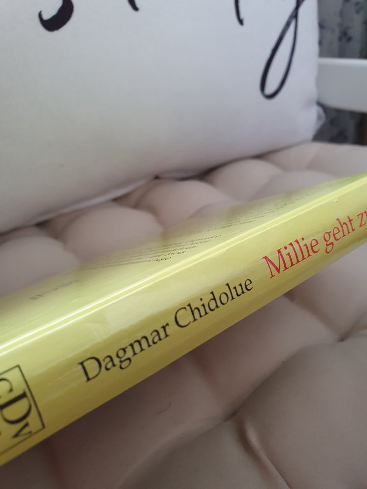 Dagmar Chidolue : Millie geht zur Schule Hardcover gebundenes Buch